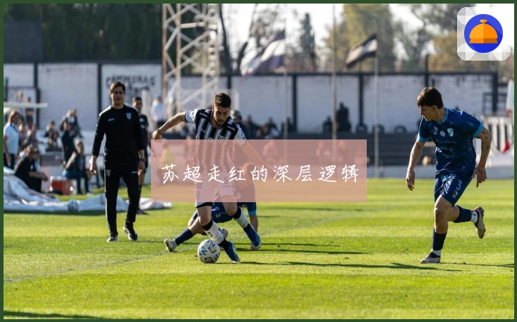 苏超走红的深层逻辑