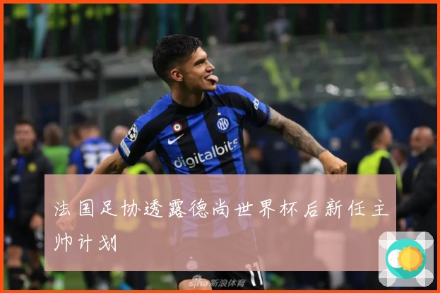 法国足协透露德尚世界杯后新任主帅计划